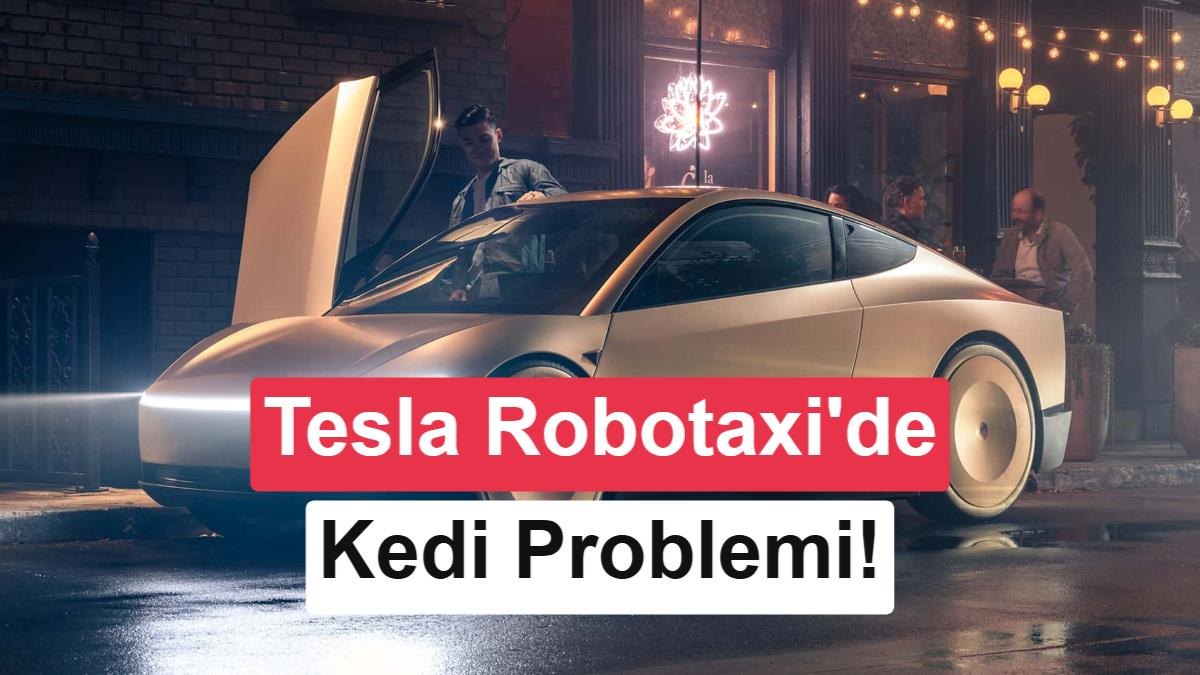 Tesla Robotaksi'nin Gece Çalışma Saatlerindeki Sınırın Nedeni Açıklandı: Düşük Işıkta Hayvan Algılama Zorluğu